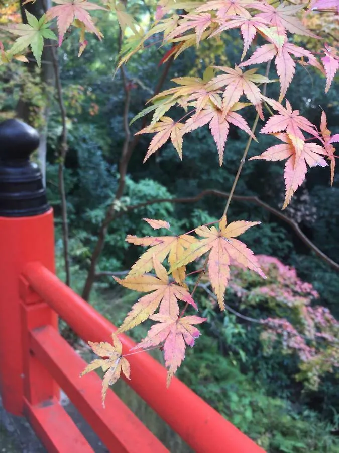 京アンスイン 京都市 ゲストハウス